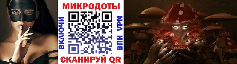 Псилоцибиновые грибы Psilocybe  Октябрьск 